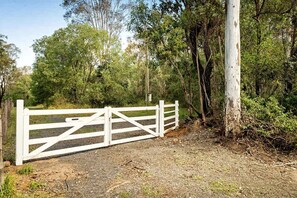 Unclassified image, 5 of 22, button - Quirky Tiny House Retreat with Friesian Horses Near Tamborine Mountain, Queensland (North Tamborine)