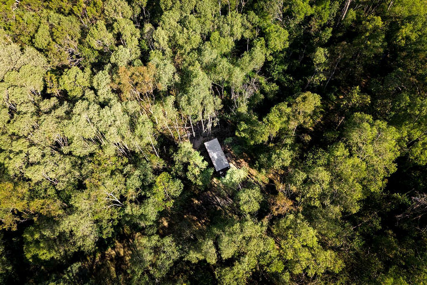 Vista aérea de uma área arborizada com um edifício retangular cercado por árvores densas.