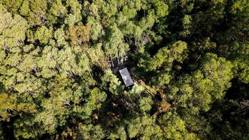 Vista aérea de uma área arborizada com um edifício retangular cercado por árvores densas.