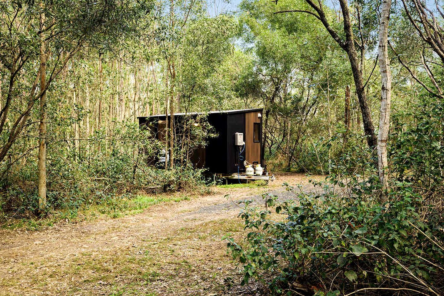 Eine kleine Holzhütte in einem Waldgebiet, mit einem Feldweg, der zu ihr führt.