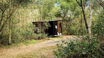 Eine kleine Holzhütte in einem Waldgebiet, mit einem Feldweg, der zu ihr führt.
