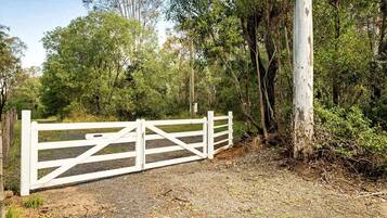 A white metal gate in a natural setting with trees and a dirt path.