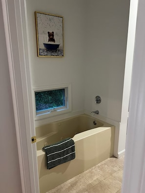 Immagine non classificata, 2 di 21, pulsante