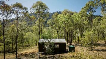 A small cabin surrounded by trees in a forested area.