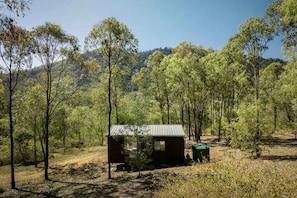 A small cabin surrounded by trees in a forested area.