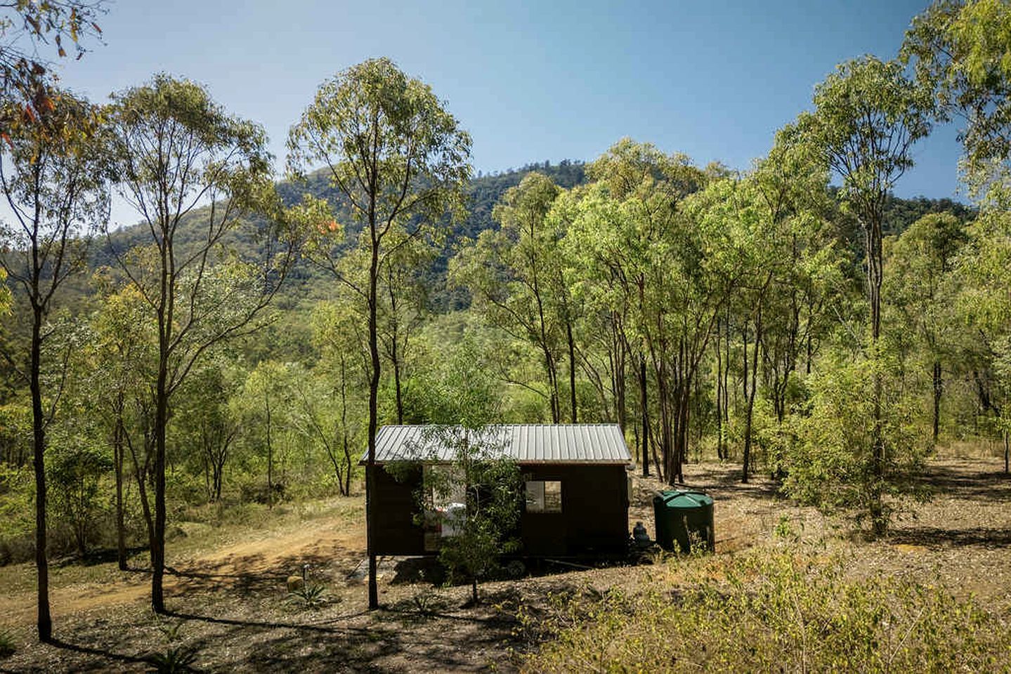 A small cabin surrounded by trees in a forested area.