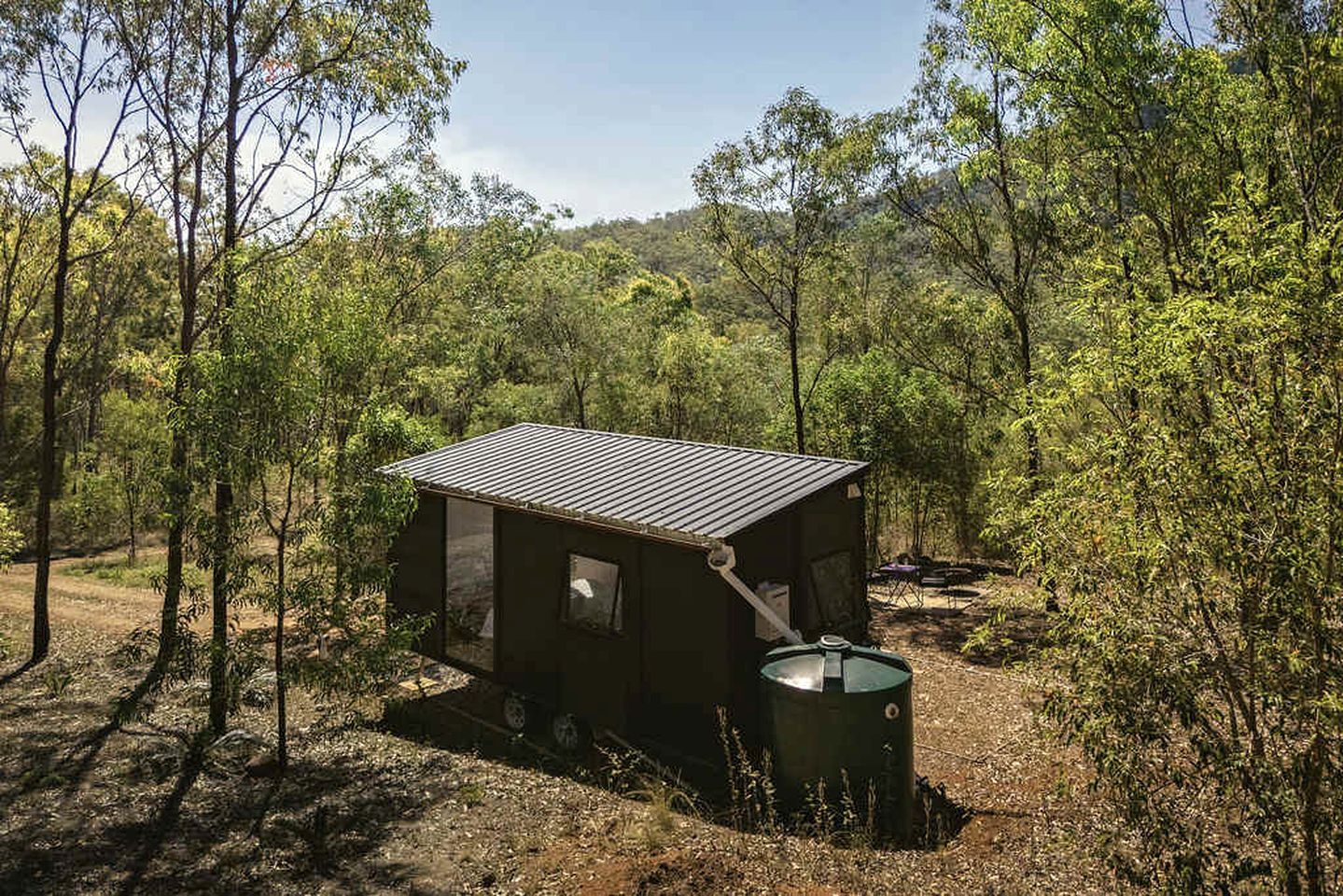 A small cabin with a metal roof, surrounded by dense forest.