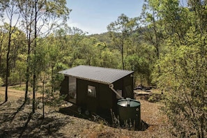 A small cabin with a metal roof, surrounded by dense forest.