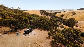 A remote cabin surrounded by dense trees and dry grassland.