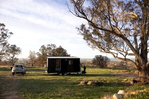 A small, black, single-story structure with a flat roof, situated in a grassy field with trees in the background.
