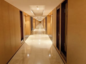 Ảnh chưa phân loại, 3 trong số 39 ảnh, nút