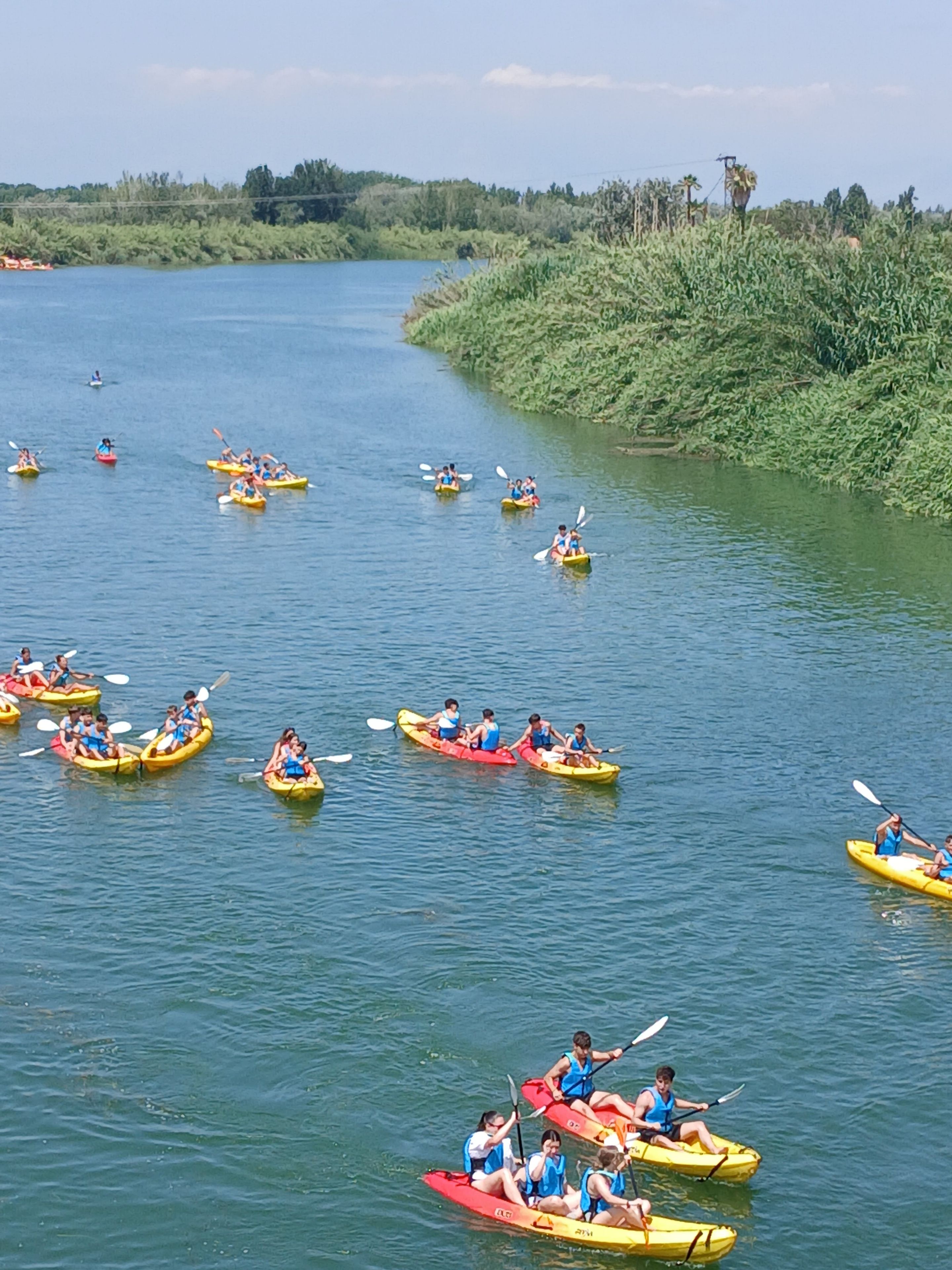 Un grupo de personas haciendo kayak en un río rodeado de follaje.