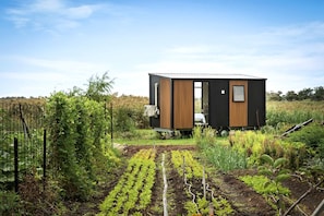 A modern, compact structure with a flat roof, surrounded by a well-maintained garden with rows of crops.