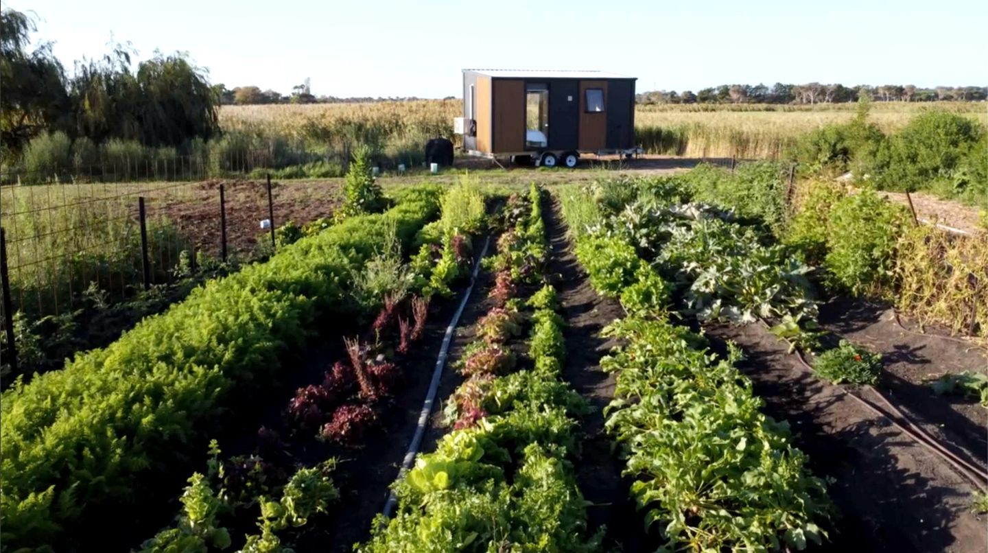 A garden with rows of plants and a mobile home in the background.