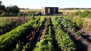 A garden with rows of plants and a mobile home in the background. - Farm Stay Tiny House with Nature Escape Views in Boneo, Australia (Boneo)