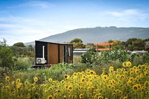 A modern building with a large fan, surrounded by a field of sunflowers, and a red structure in the background.