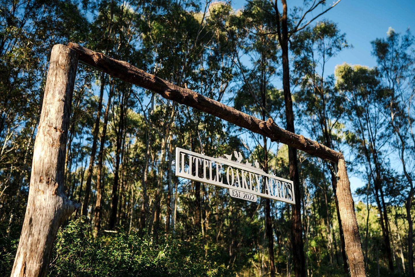 A wooden sign with the text 'LITTLE OAKY ACRES EST. 2022' mounted on a branch.