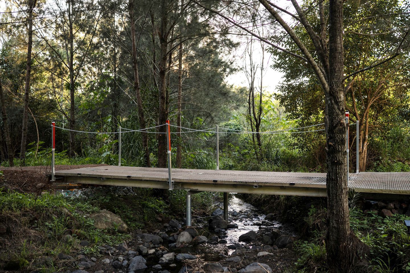 A wooden bridge over a stream in a forested area.