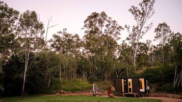 A small, dark-colored cabin with a yellow door, surrounded by a grassy area and dense eucalyptus trees.