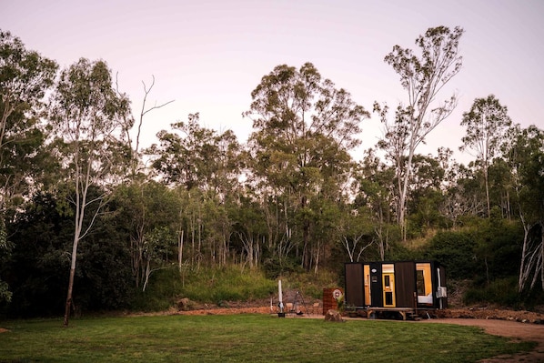 Une petite cabane aux couleurs sombres, avec une porte jaune, entourée d’une zone herbeuse et d’une forêt dense d’eucalyptus.