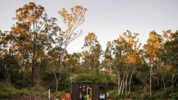 A small cabin with a single visible room, surrounded by a forest.