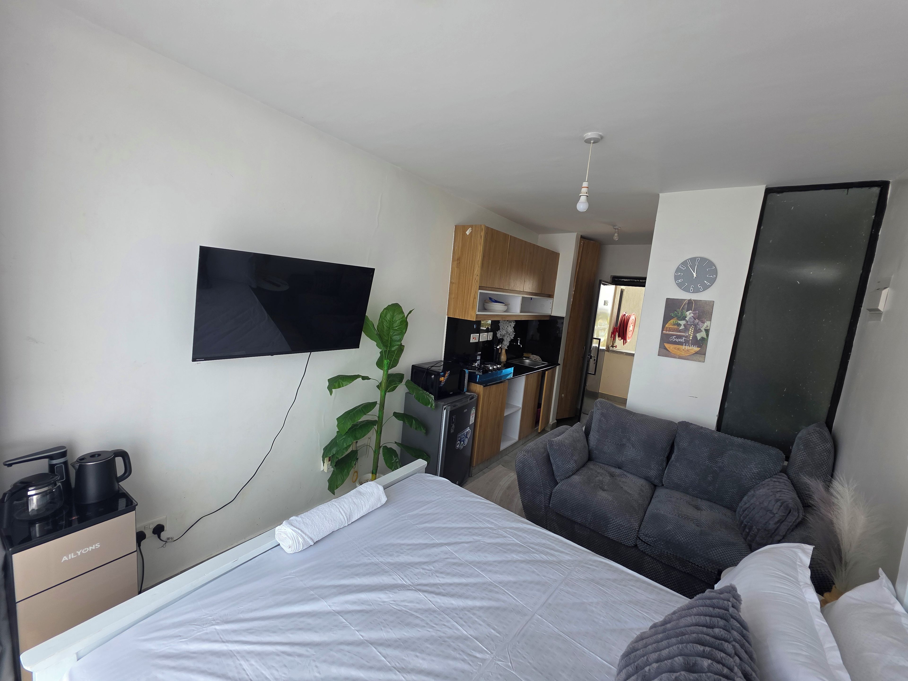 A room with a bed, a sofa, a TV mounted on the wall, a kitchenette, and a plant.