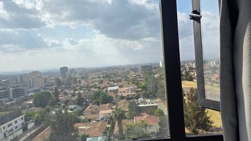 A view from a window overlooking a cityscape with buildings and greenery.