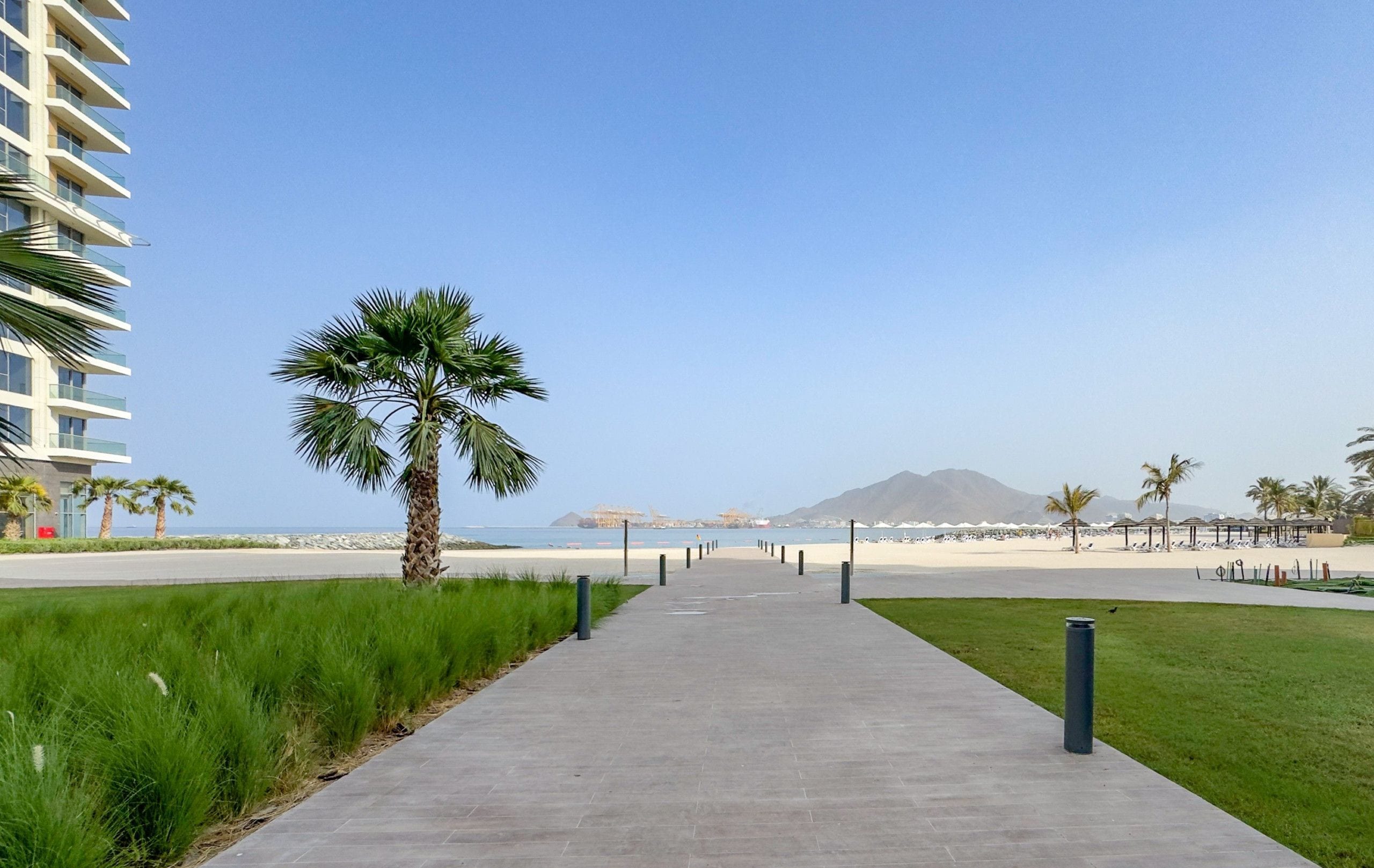 A pathway leading to a beach with palm trees and a clear sky.