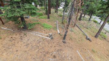A forested area with trees, a dirt ground, and a fence.