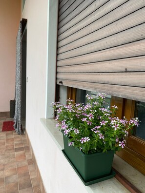 Immagine non classificata, 3 di 28, pulsante