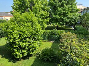 Un jardín bien cuidado con arbustos diversos y césped.