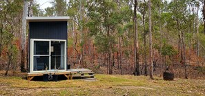 A modern cabin with a large glass window, surrounded by a forest.