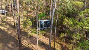 A remote cabin surrounded by tall trees, with a clear path leading to it.