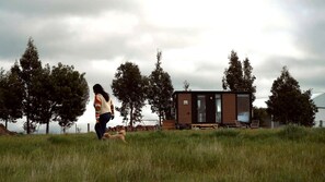 Una persona pasea un perro por un campo cubierto de hierba, con un edificio moderno al fondo.