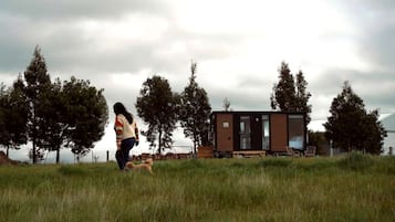Iemand wandelt met een hond over een grasveld, met een modern gebouw op de achtergrond.