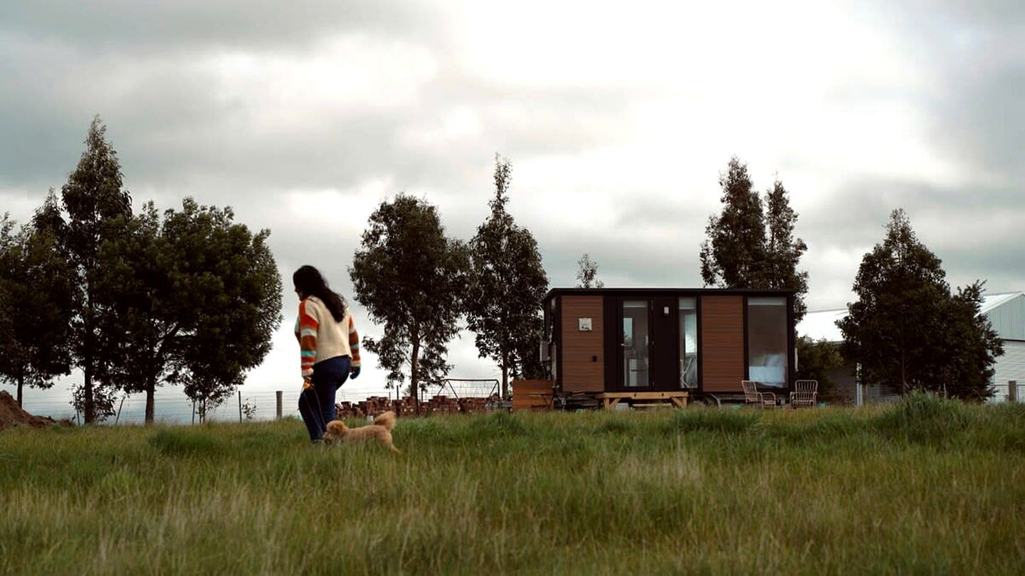 A person walking a dog in a grassy field with a modern building in the background.