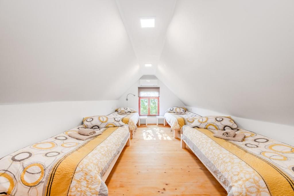Una habitación con dos camas individuales, suelo de madera y ventana con vistas.