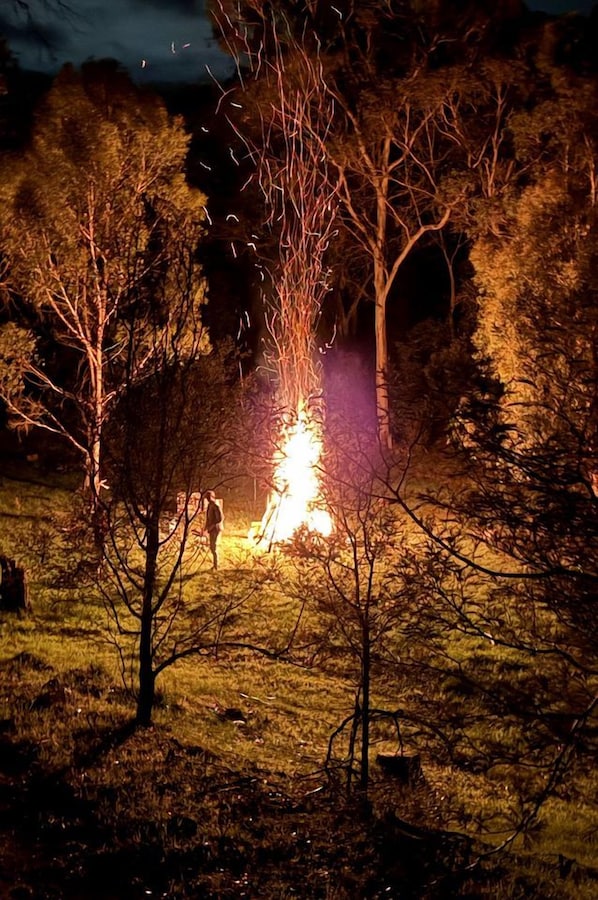 A campfire in a wooded area with trees and grass.