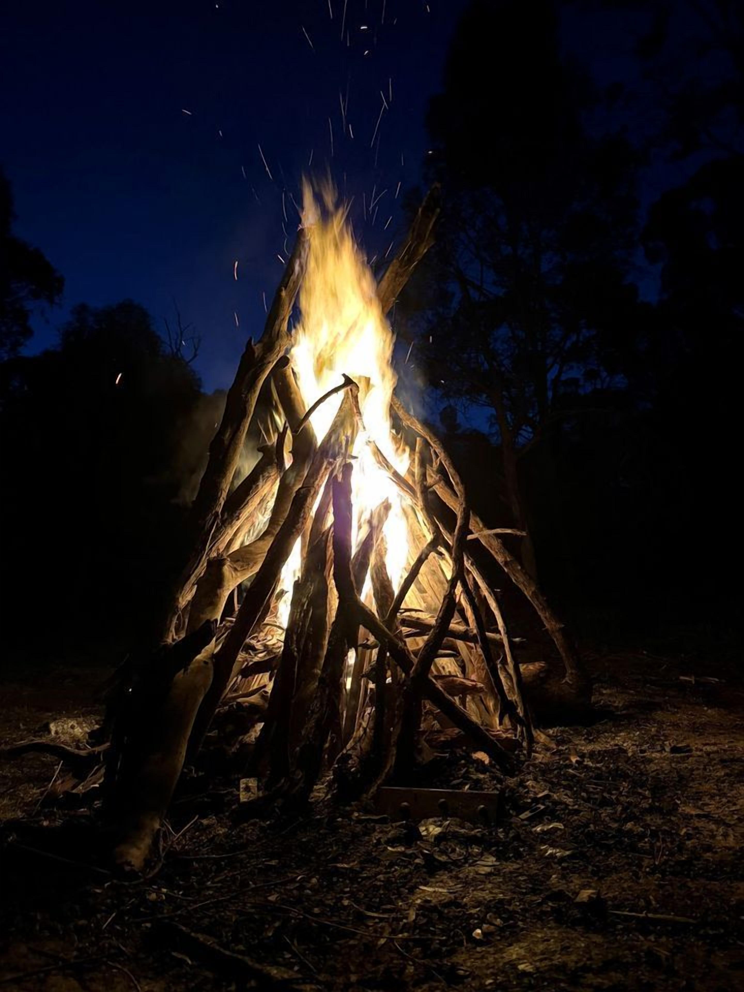 A campfire with visible flames and sparks, surrounded by natural ground and trees.