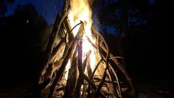 A campfire with visible flames and sparks, surrounded by natural ground and trees.