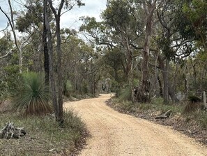 A dirt path surrounded by trees and shrubs.