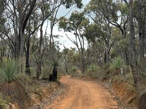 A dirt road flanked by trees and shrubs, leading into a forested area. - Off-Grid Tiny House with Cozy Firepit Retreat in Steiglitz, Australia (Steiglitz)
