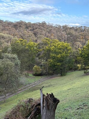 Unclassified image, 3 of 28, button - Off-Grid Tiny House with Cozy Firepit Retreat in Steiglitz, Australia (Steiglitz)