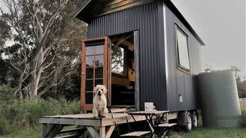 A small, dark-colored cabin with a wooden door and a dog sitting outside.