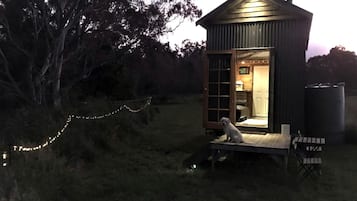 Une petite cabane en bois avec une véranda, un chien assis sur un banc et une guirlande lumineuse.
