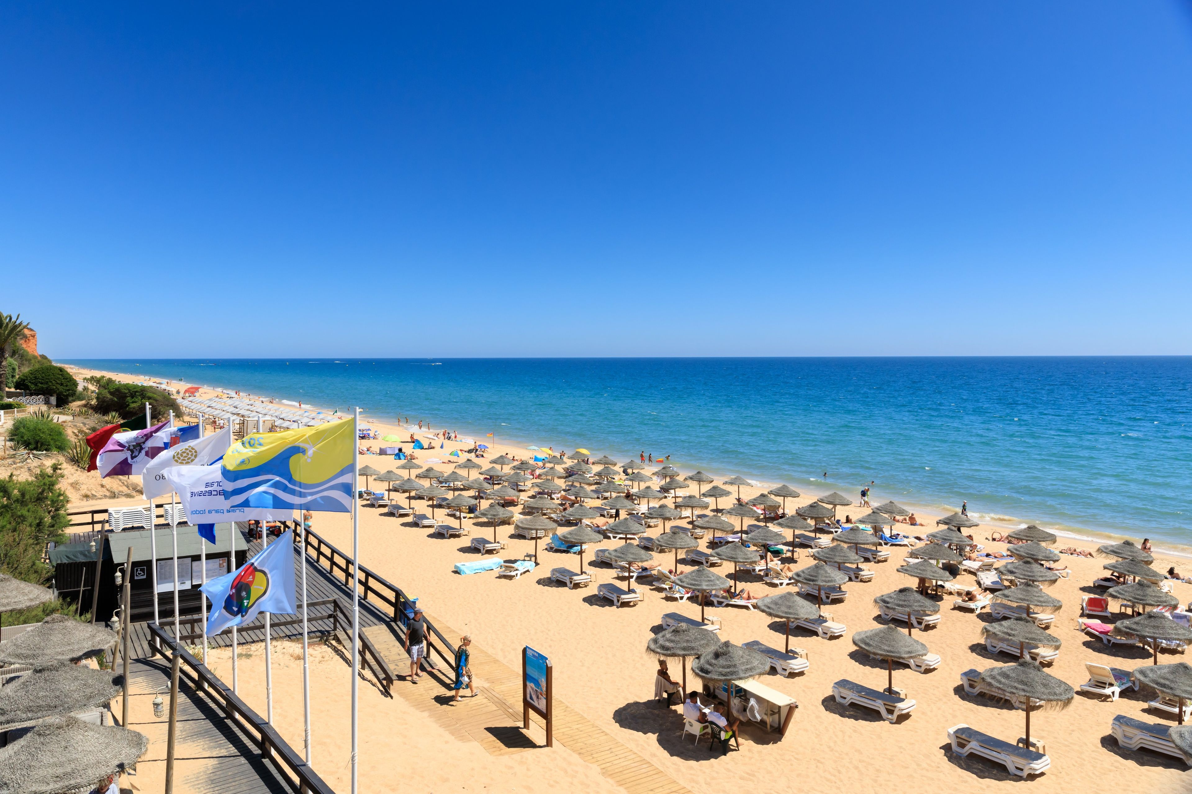 Una spiaggia con numerosi lettini e ombrelloni, cielo sereno e mare calmo.