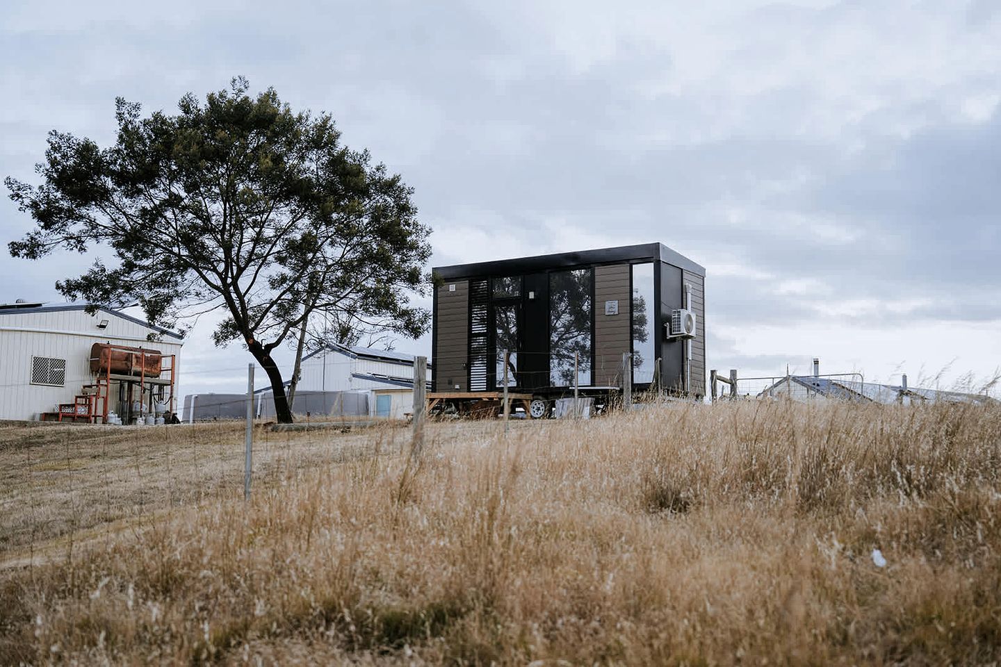 En moderne hytte med et enkelt plan og metalfacade, beliggende i en græsmark med et stort træ i nærheden.
