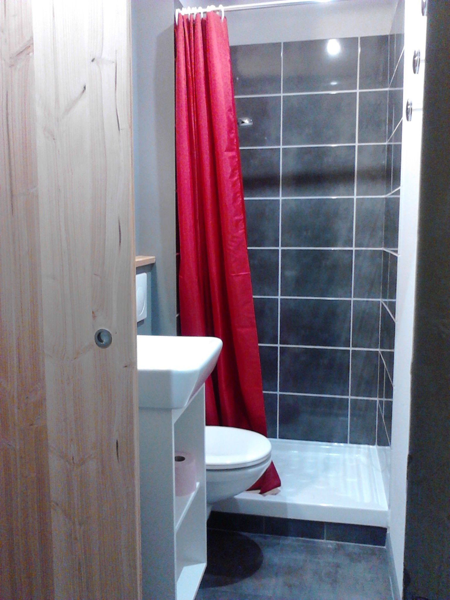 Ein kleines Badezimmer mit Toilette, roter Duschvorhang und dunkel gefliesten Wänden.