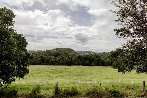 A rural landscape with a fenced field, trees, and a cloudy sky. - Secluded Tiny House on Macadamia Plantation Near Byron Bay, Cumbalum NSW (Cumbalum)