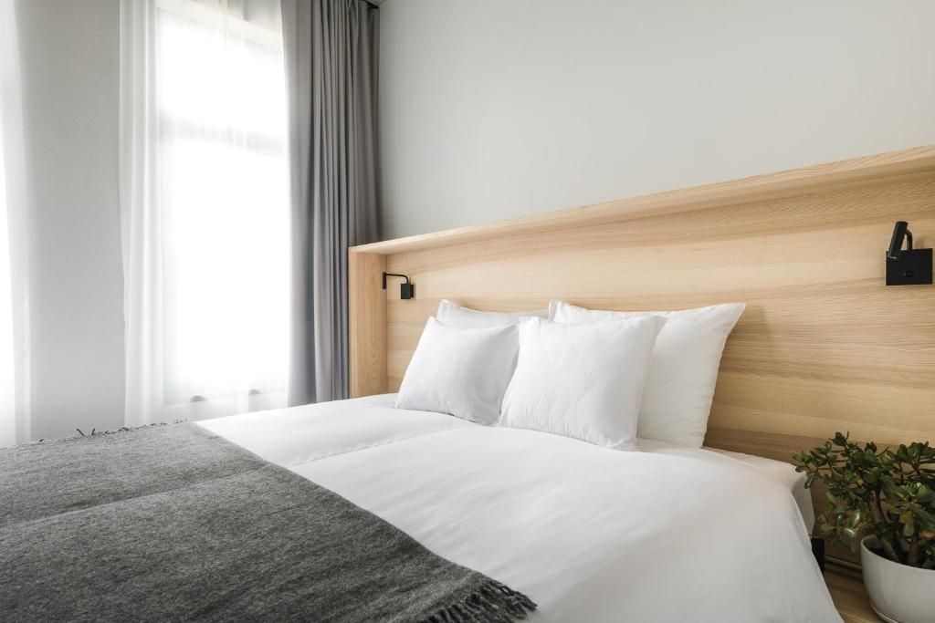A hotel room with a large bed, a headboard, a bedside lamp, and a potted plant.